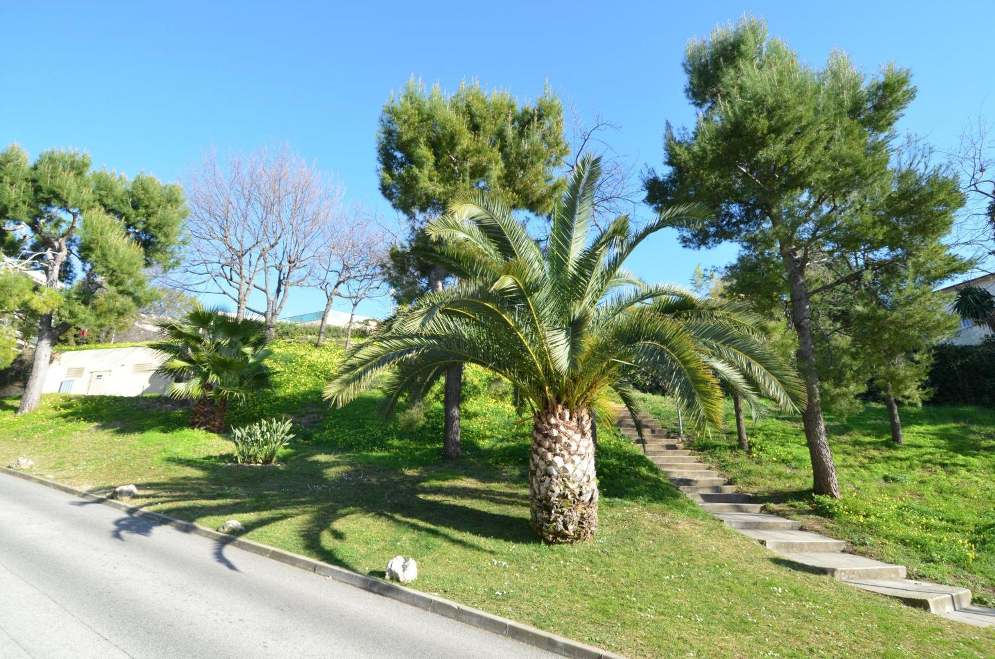Plein Ciel - Appartement 5 Personnes Avec Piscine Sur La Corniche Fleurie A 니스 외부 사진